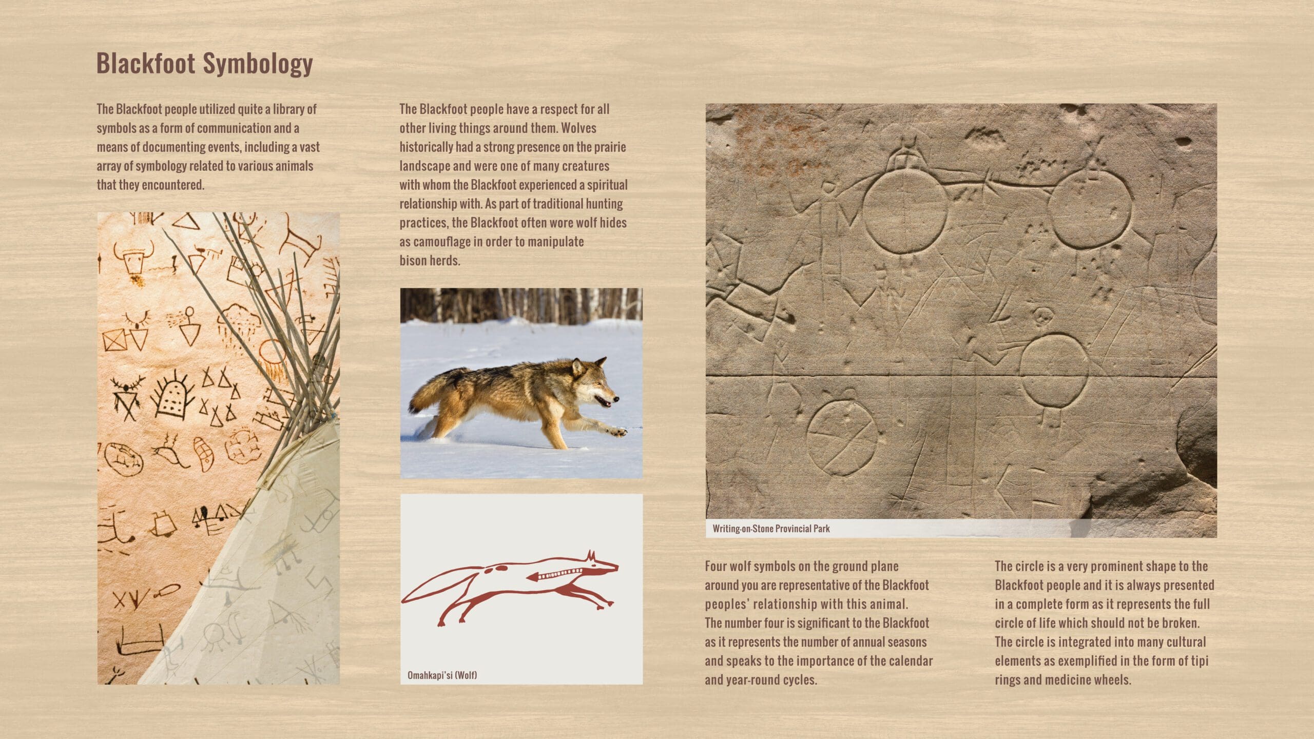 Village at Trinity Hills | Kramer Design Associates