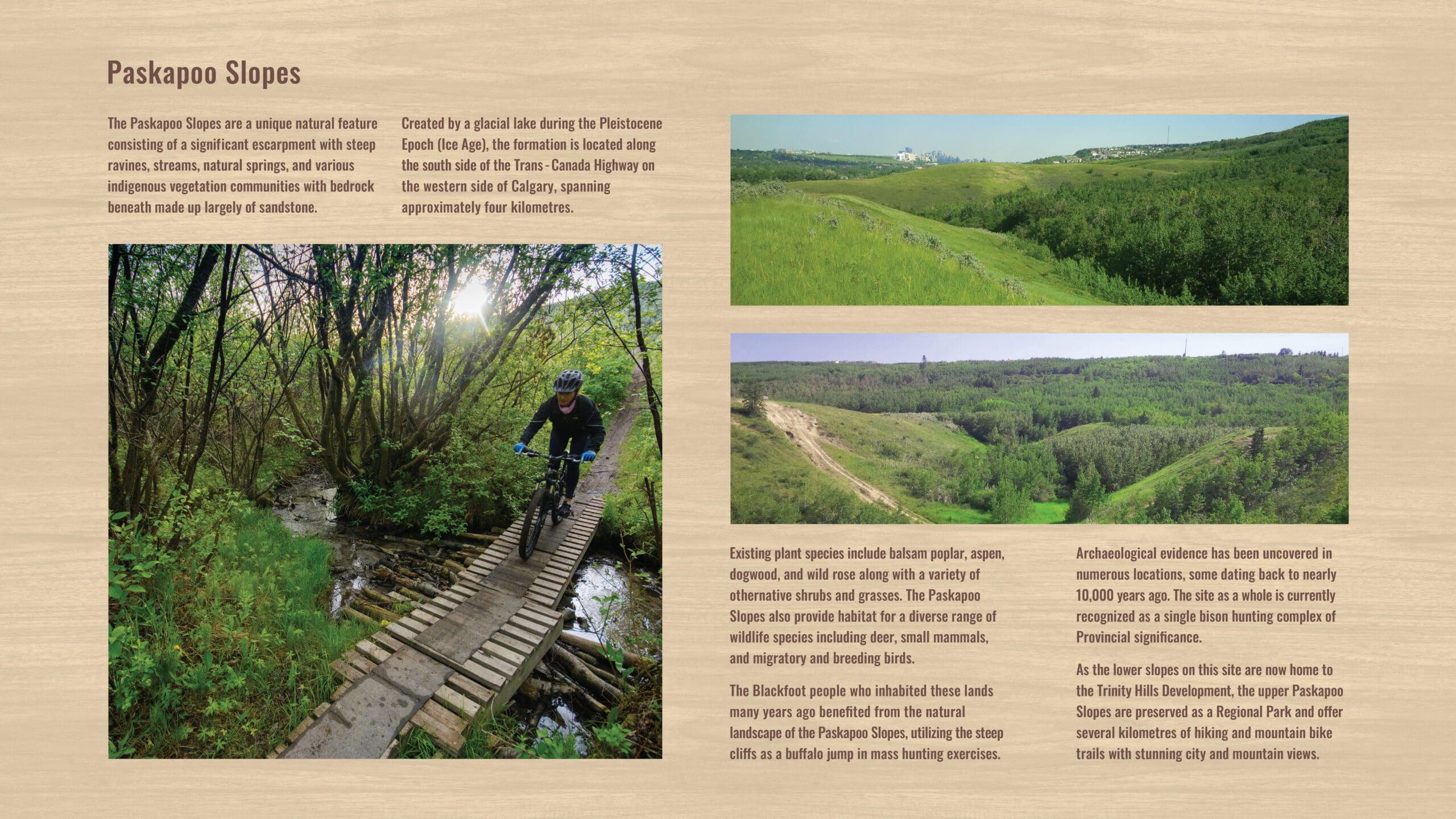 Village at Trinity Hills | Kramer Design Associates