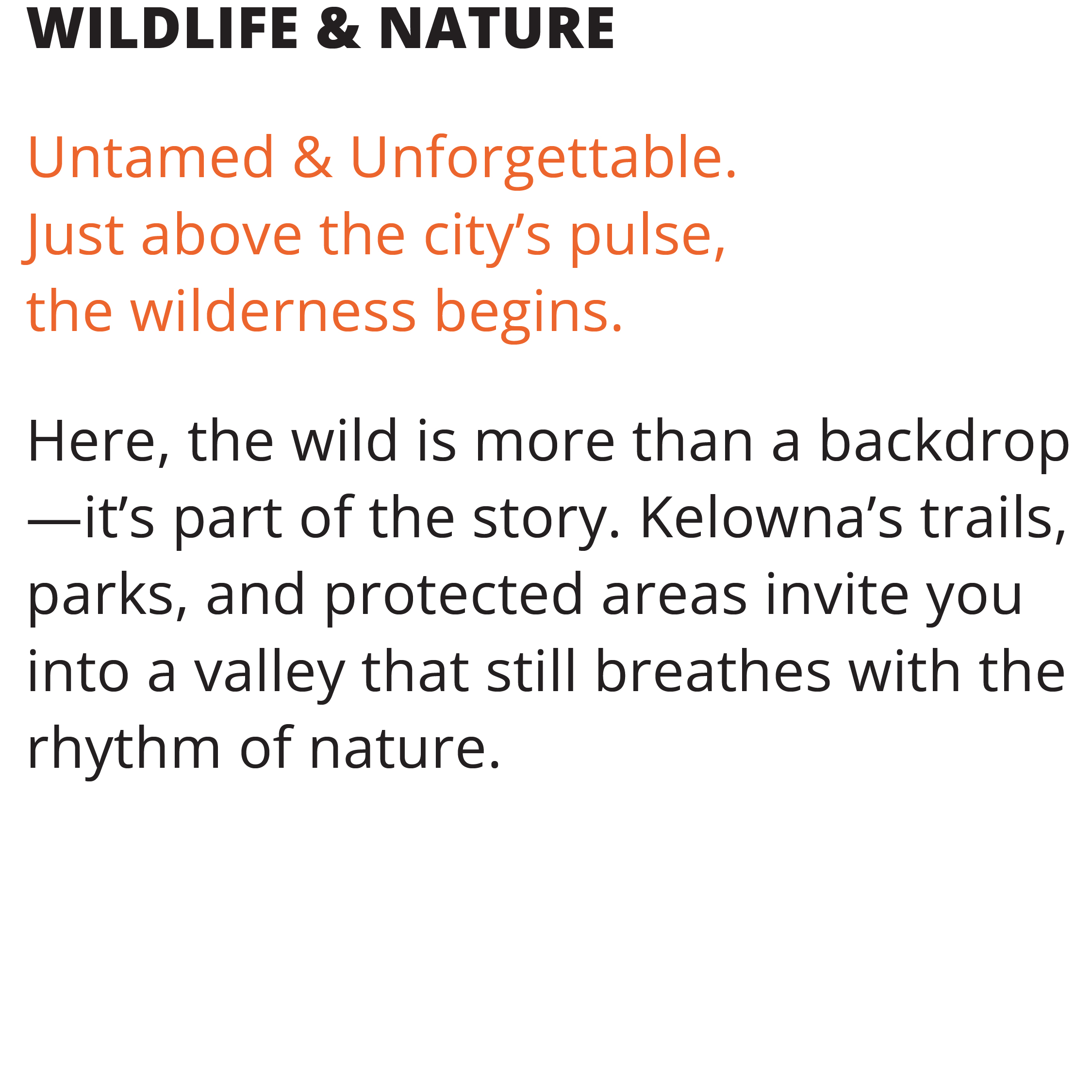 Signature Sign | Kramer Design Associates